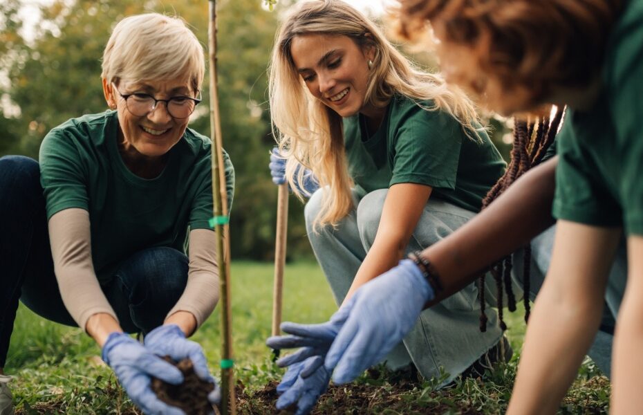 A group of volunteers planting trees.