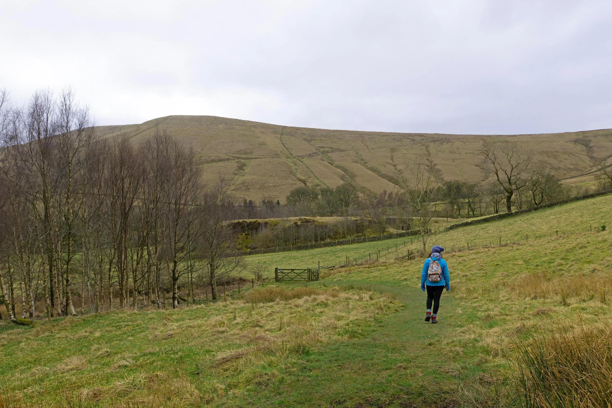 Walks, 2026