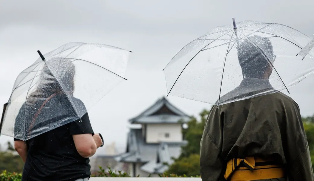 Two people standing under umbrellas on a grey day.