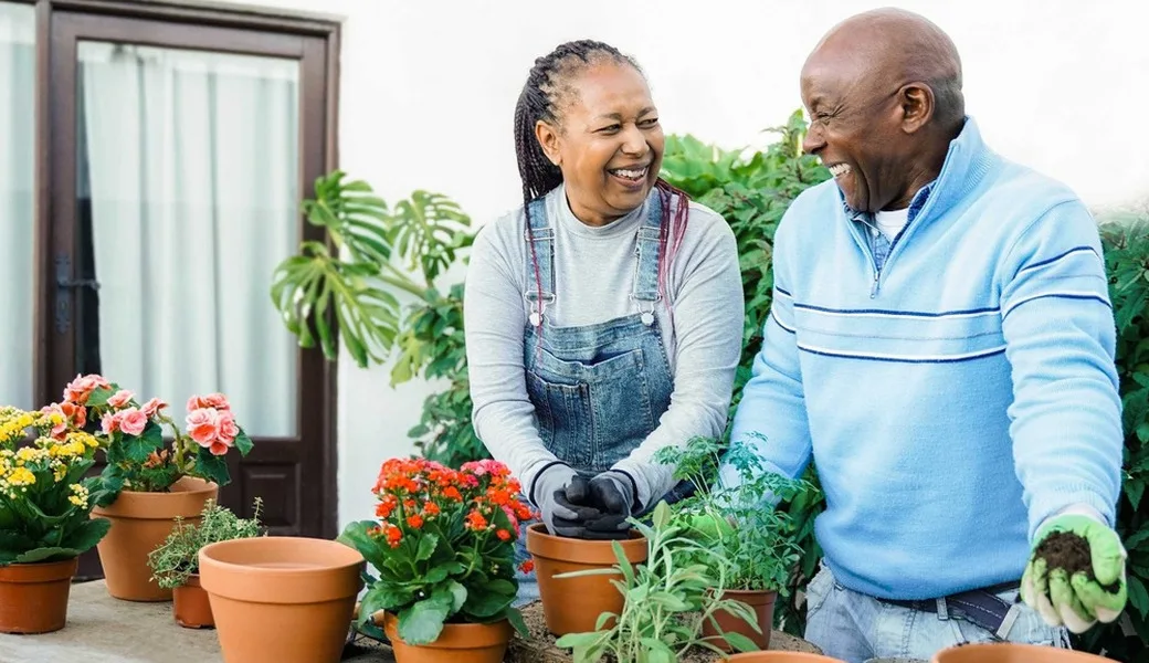 A couple potting plants together.